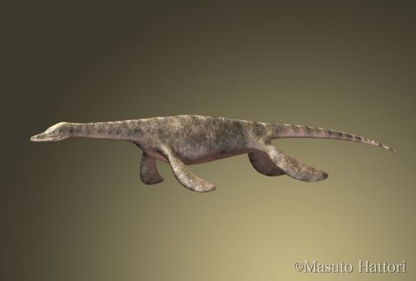 Нотозавры первыми из крупных рептилий начали осваивать моря и океаны
